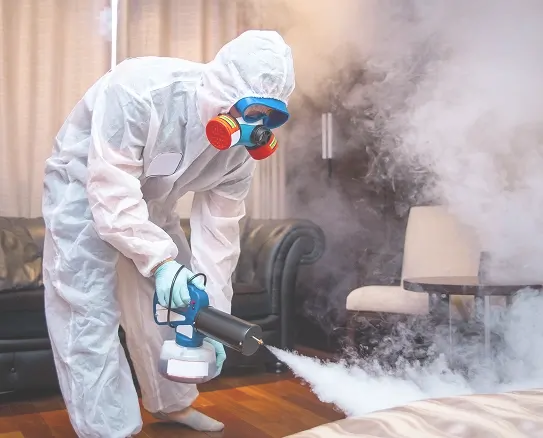 Expert Asbestos Removal Services in Calgary
